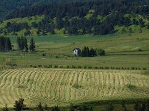 在Chasseradès的25.5公里徒步旅行 4