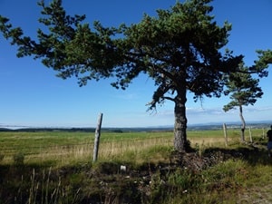 Wanderung von 21,7 km in Châteauneuf-de-Randon 2
