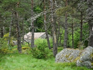 Mercoire