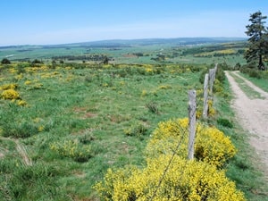 Moure de la Gardille