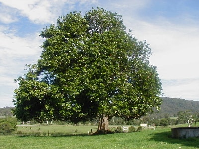 2 Echange avec Benbellen Farmstay, Hannam Vale, NSW, Australie