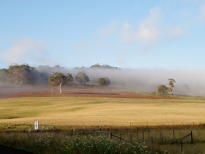 12 Exchange with Aussie Farmstay Wallendbeen NSW Australia