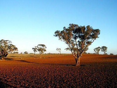 14 澳大利亚灌木丛中的农场绿洲