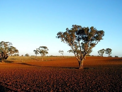 17 Echange avec Corang Farmstay, Wallendbeen, NSW, Australie