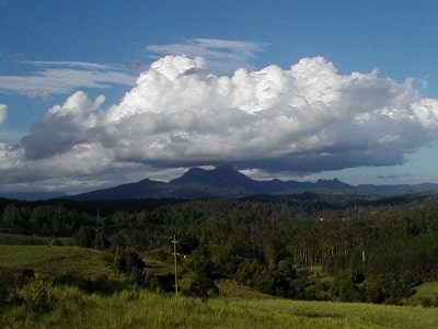 NSW