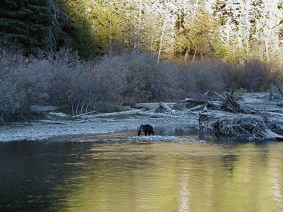 11 Exchange with Dayspring Lodge, Kaslo, British Columbia, Canada