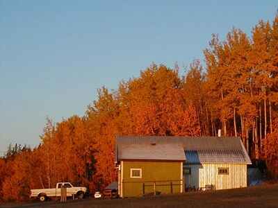 8 Exchange with Horse Creek Guest-Ranch, Fort Assiniboine, Alberta, Canada