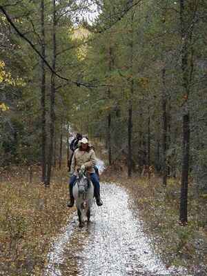 2 Exchange with Horse Creek Guest-Ranch, Fort Assiniboine, Alberta, Canada