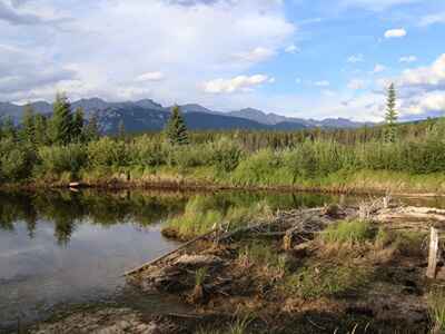 5 Jasper et son Parc National dans les Rocheuses