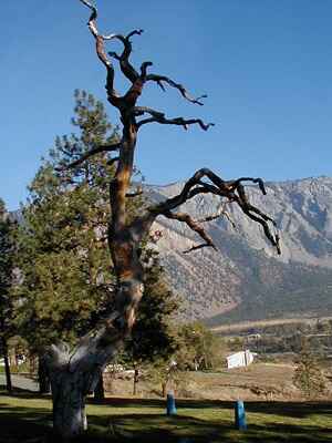 3 Lillooet dans les Coast Mountains, Colombie Britannique, Canada