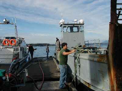 4 Ucluelet and Tofino in Vancouver Island, British Columbia, Canada