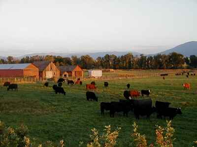 12 Exchange with Strawberry Mountain Inn B&B, Prairie City, Oregon, USA