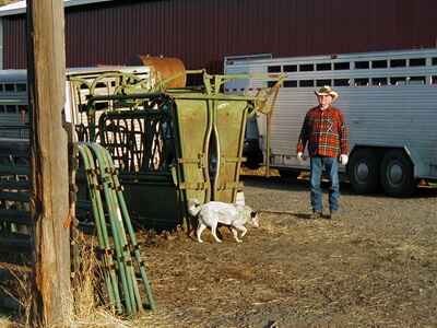 14 Exchange with Riverside School House Bed and Breakfast, Prairie City, Oregon, USA