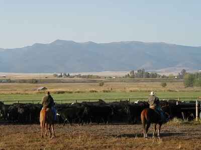 19 Exchange with Riverside School House Bed and Breakfast, Prairie City, Oregon, USA