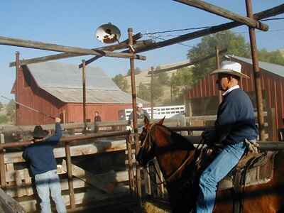 21 Exchange with Riverside School House Bed and Breakfast, Prairie City, Oregon, USA