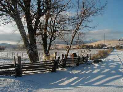 8 Exchange with Riverside School House Bed and Breakfast, Prairie City, Oregon, USA