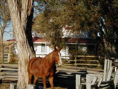 10 Exchange with Riverside School House Bed and Breakfast, Prairie City, Oregon, USA