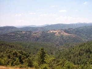 Cévennes