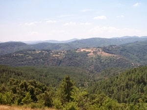 Cévennes