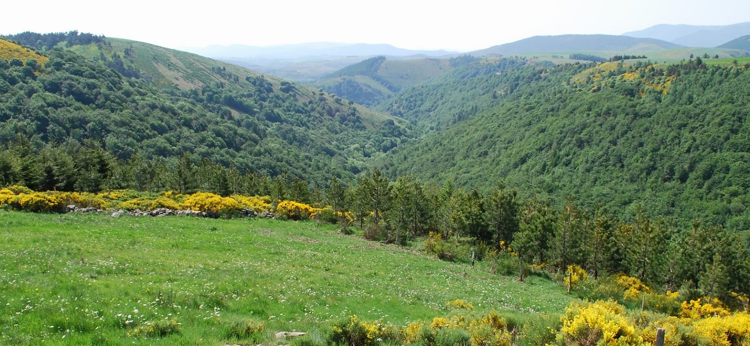 My Week's holiday at L'Etoile and the Cevennes