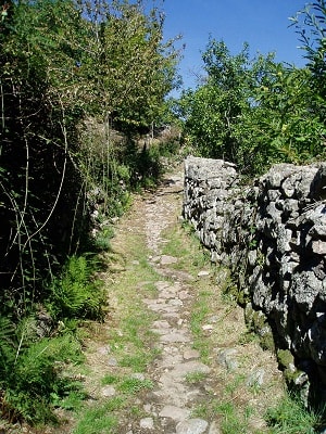Chemin Régordane ou sentier de St Gilles GR®700