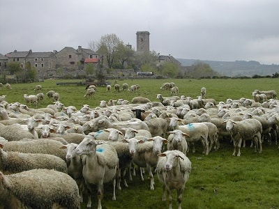 Le village médiéval de La Garde Guérin en Lozère