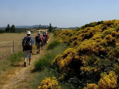 Randonnée sur le GR®700 Chemin Régordane vers La Garde-Guérin en Lozère