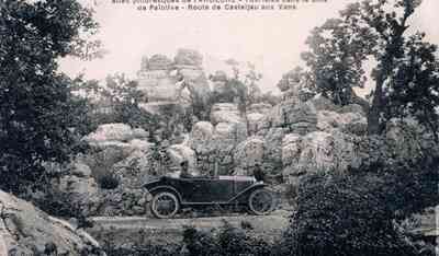 Bosco di Païolive