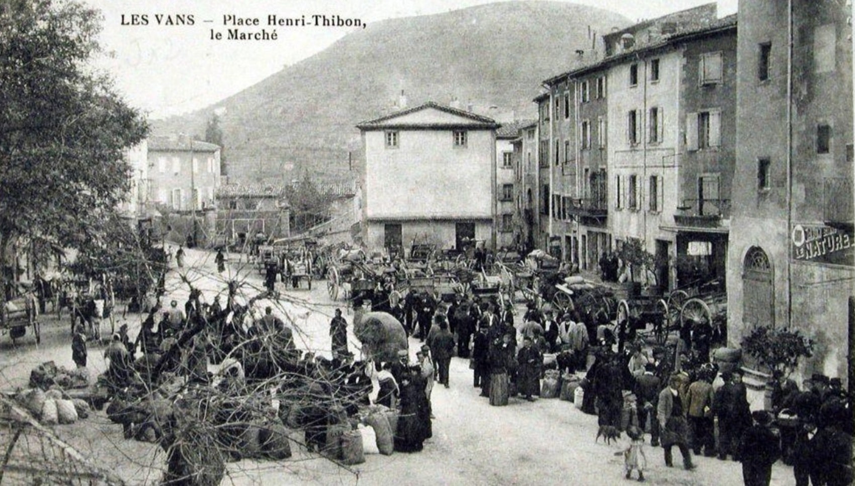 Il mercato dei Vans