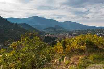 Transhumance en Vivarais 4