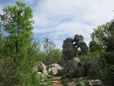 Il bosco di Païolive vicino ai Vans in Ardèche 10