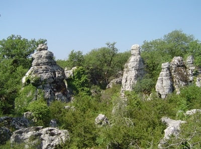 Il bosco di Paiolive vicino ai Vans in Ardèche 1