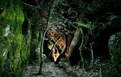 Il bosco di Paiolive vicino ai Vans in Ardèche 3