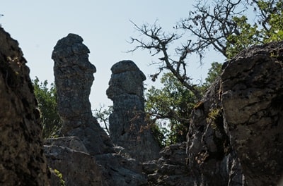 Il bosco di Paiolive vicino ai Vans in Ardèche 4