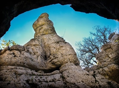 Il bosco di Paiolive vicino ai Vans in Ardèche 6