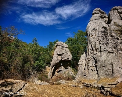 Il bosco di Païolive vicino ai Vans in Ardèche 8