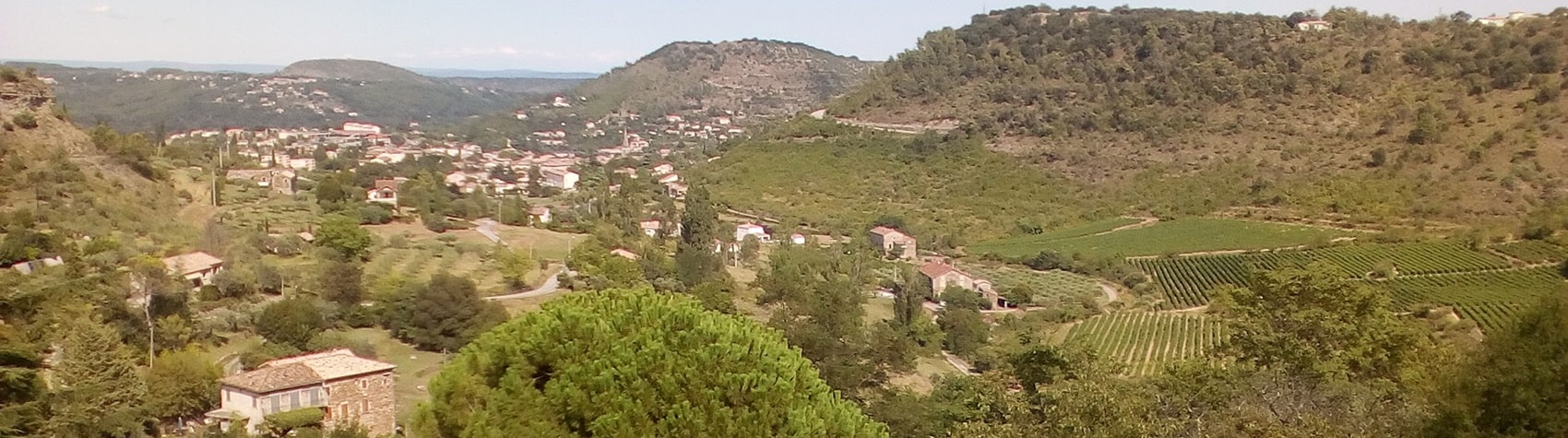 Regione dei Vans