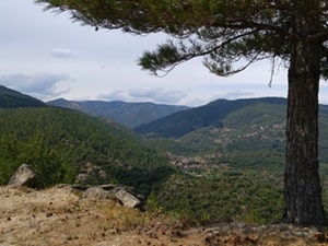 Camminata a circuito di 16,5 km partendo dai Vans in Ardèche 3