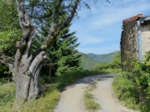 Escursione a piedi in circuito di 22,5 km partendo da Les Vans in Ardèche 3