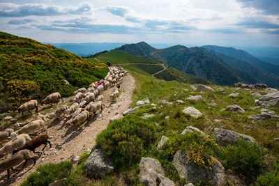 17 Randonnée dans les Cévennes par la Lozère et l'Ardèche