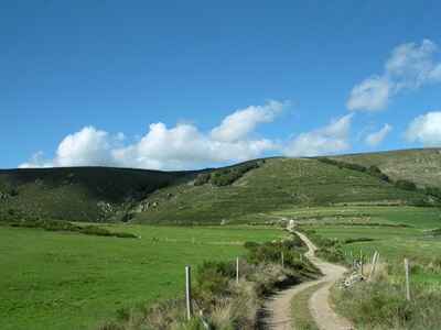 Tanargue