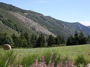 Montagne ardéchoise