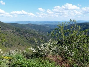 Vallée de Valgorge