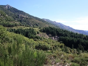Randonnée de 20,5km à Loubaresse 1