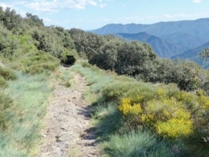 Randonnée de 20,5km à Loubaresse 5