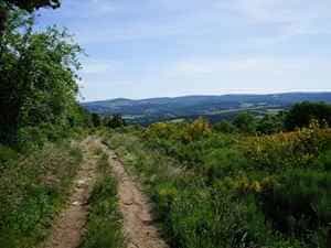 19 km Wandeling in een lus beginnend vanuit Luc in Lozère 2