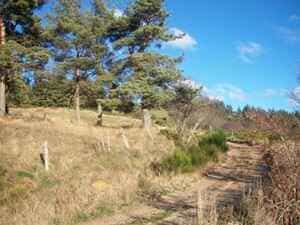 Wandeling van 21 km in lus vanaf Luc in Lozère 1