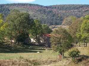 Wandelroute van 8,8 km rond Luc in Lozère 2