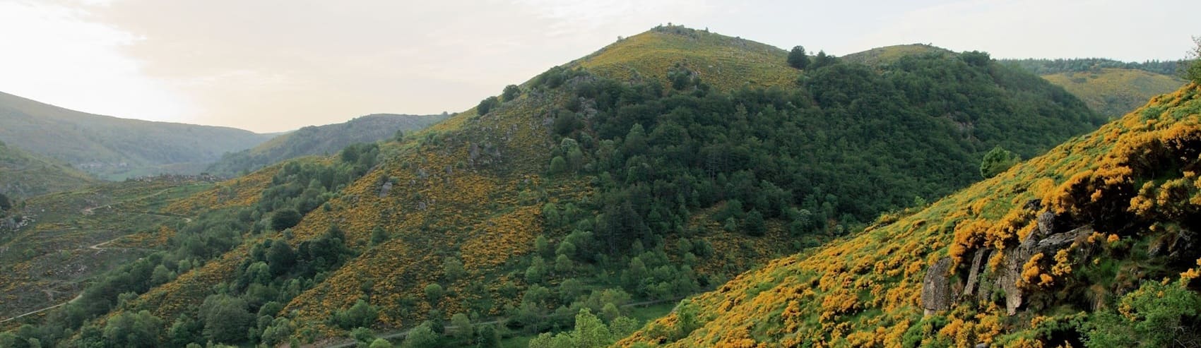 Sendero de 12,4 km en Pont-de-Montvert en Lozère - Vista del recorrido