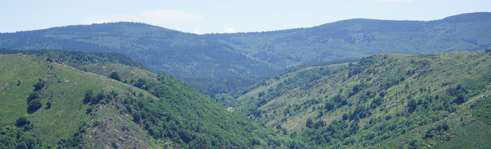 Ruta de 8 km en el Pont-de-Montvert en Lozère - Vista del recorrido
